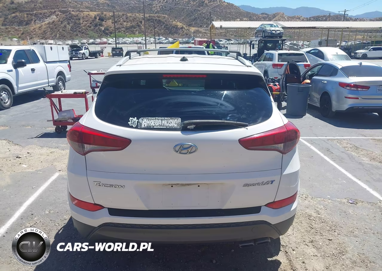 2016 Hyundai Tucson Sport VIN:KM8J33A27GU075807 - 16