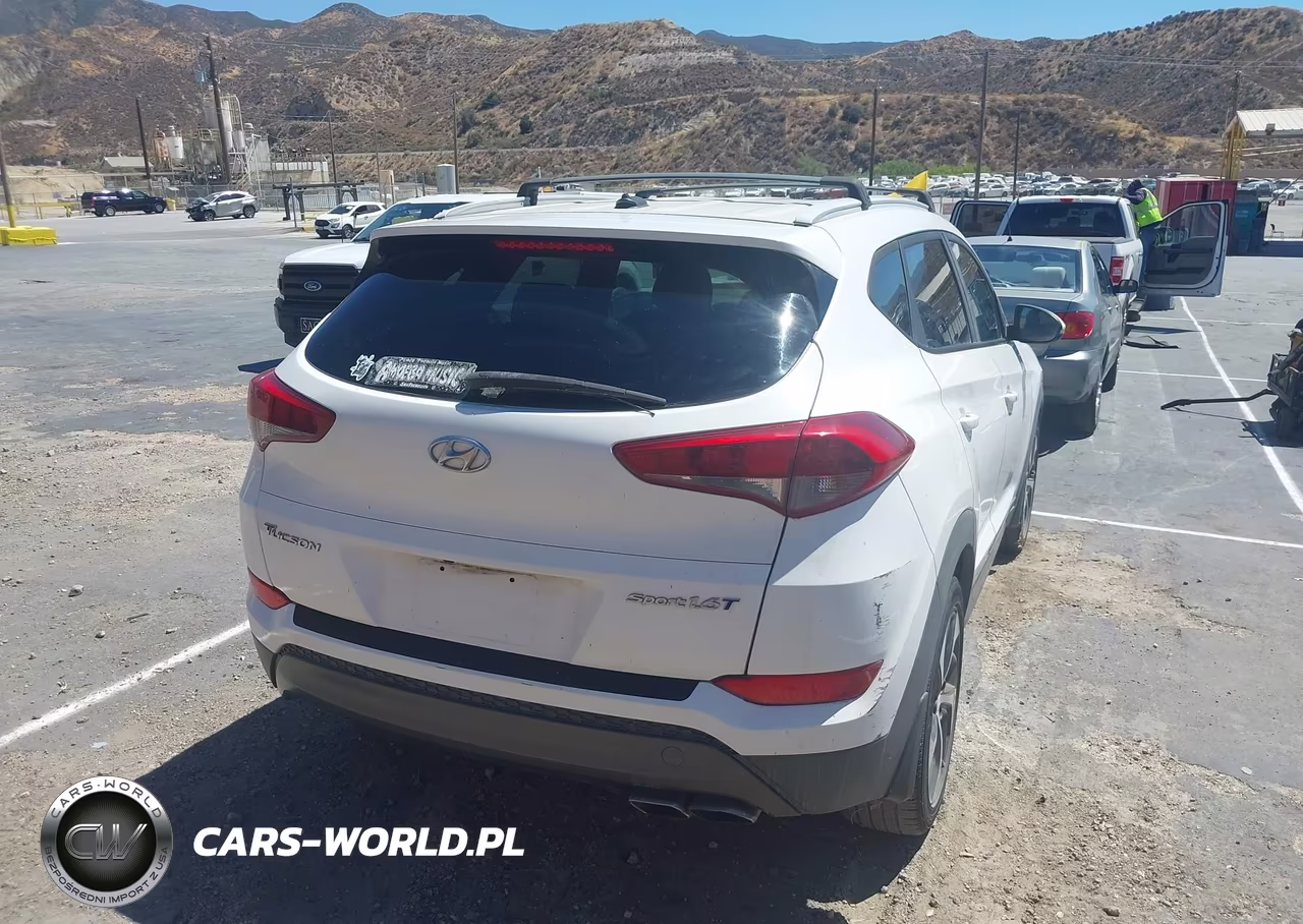 2016 Hyundai Tucson Sport VIN:KM8J33A27GU075807 - 4
