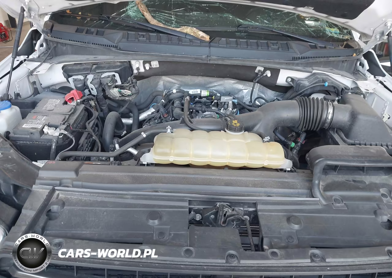 2020 Ford F-150 Xlt VIN:1FTEW1EP2LFA79141 - 10