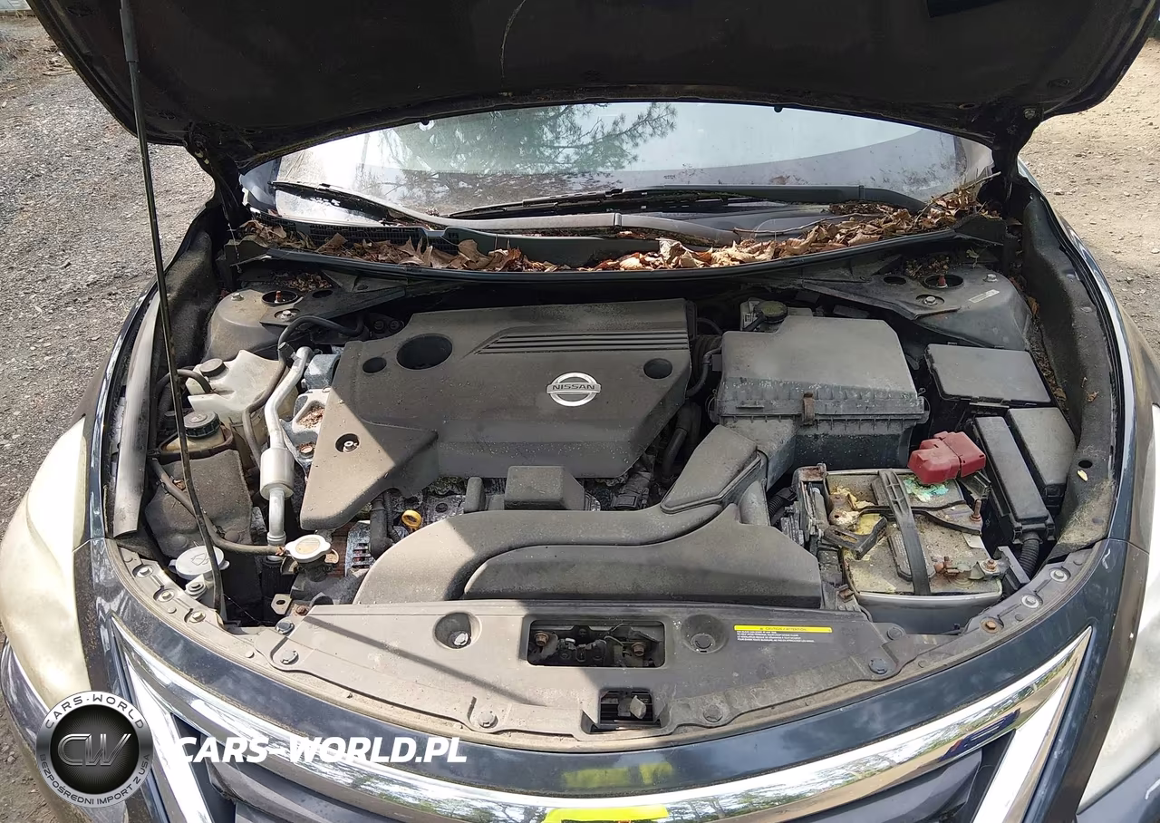 2014 Nissan Altima 2.5 Sl VIN:1N4AL3AP4EN225451 - 10