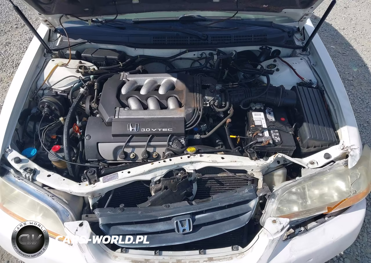 1998 Honda Accord Lx V6 VIN:1HGCG2242WA030884 - 10