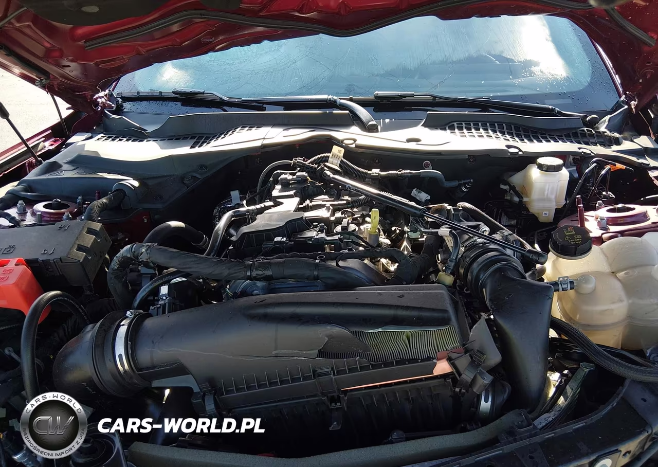 2025 Ford Mustang Ecoboost Fastback VIN:1FA6P8TH1S5131245 - 10