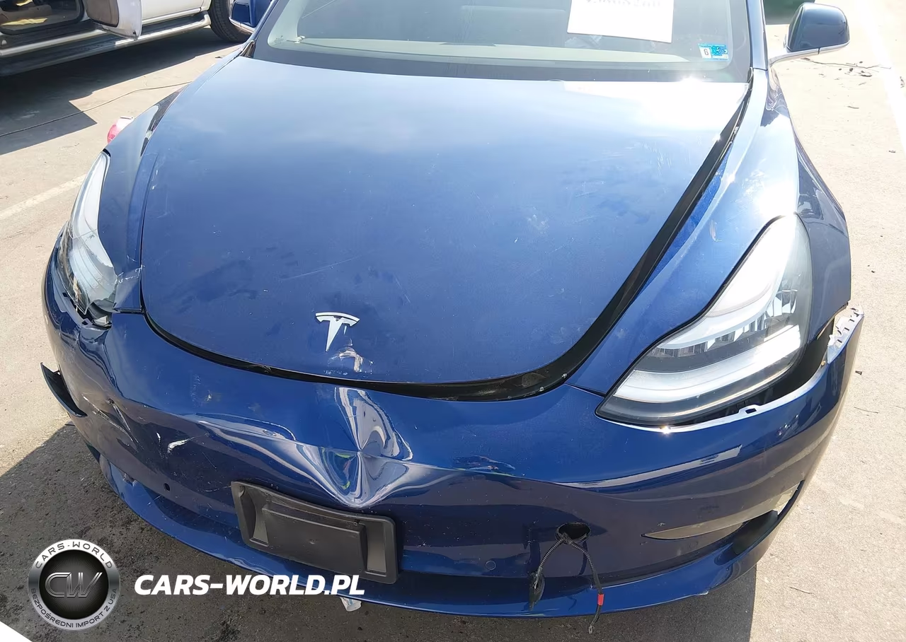 2019 Tesla Model 3 Long Range-Mid Range-Standard Range-Standard Range Plus VIN:5YJ3E1EA3KF440773 - 6