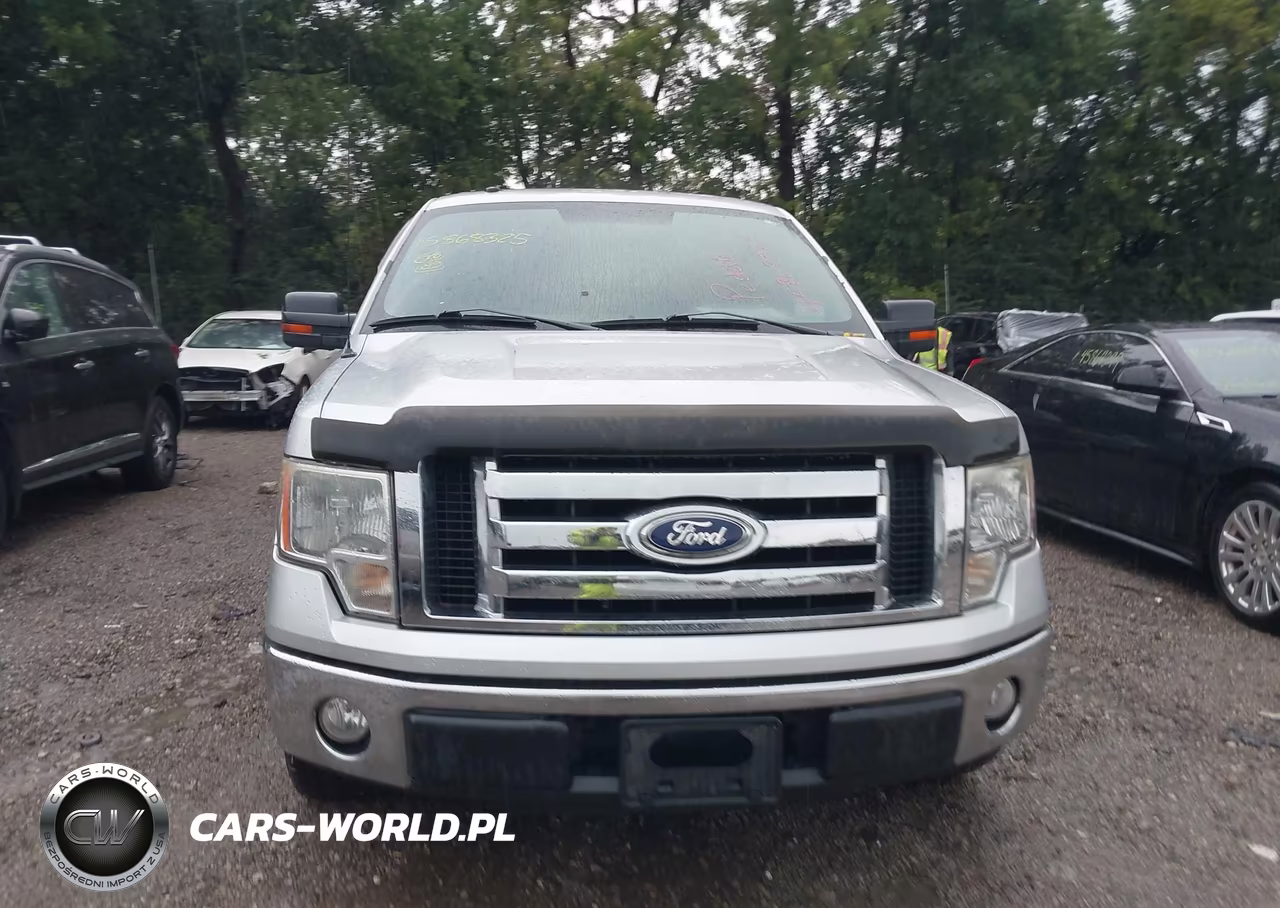 2010 Ford F-150 Fx2 Sport-Stx-Xl-Xlt VIN:1FTEX1C8XAFA39895 - 12