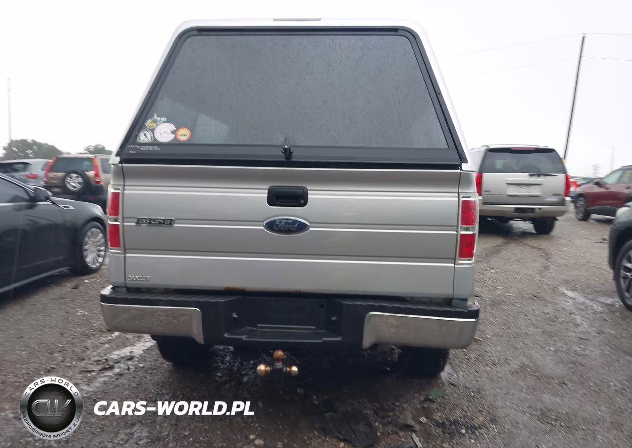 2010 Ford F-150 Fx2 Sport-Stx-Xl-Xlt VIN:1FTEX1C8XAFA39895 - 16