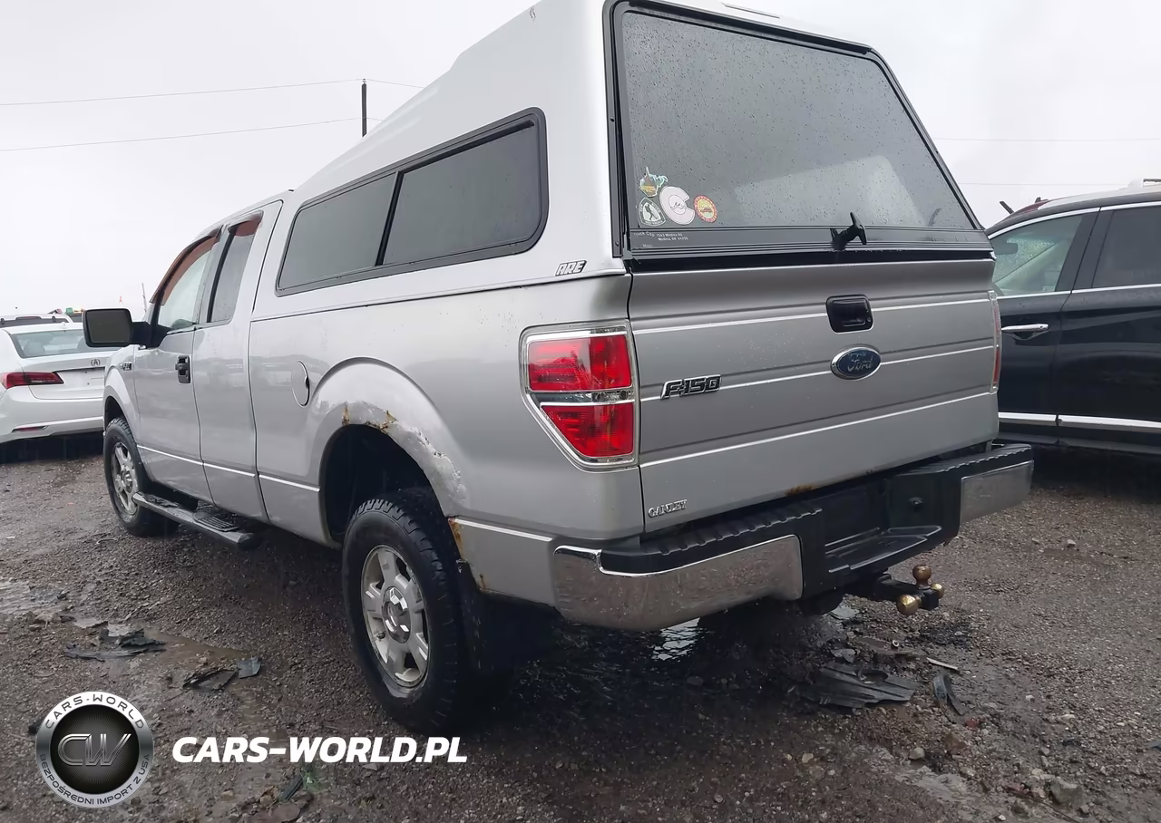 2010 Ford F-150 Fx2 Sport-Stx-Xl-Xlt VIN:1FTEX1C8XAFA39895 - 3