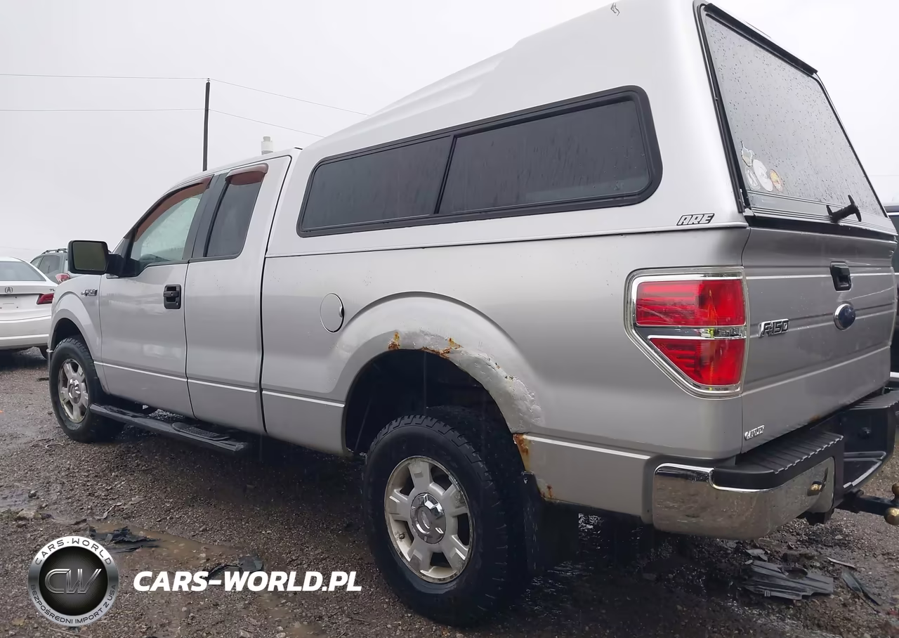 2010 Ford F-150 Fx2 Sport-Stx-Xl-Xlt VIN:1FTEX1C8XAFA39895 - 6