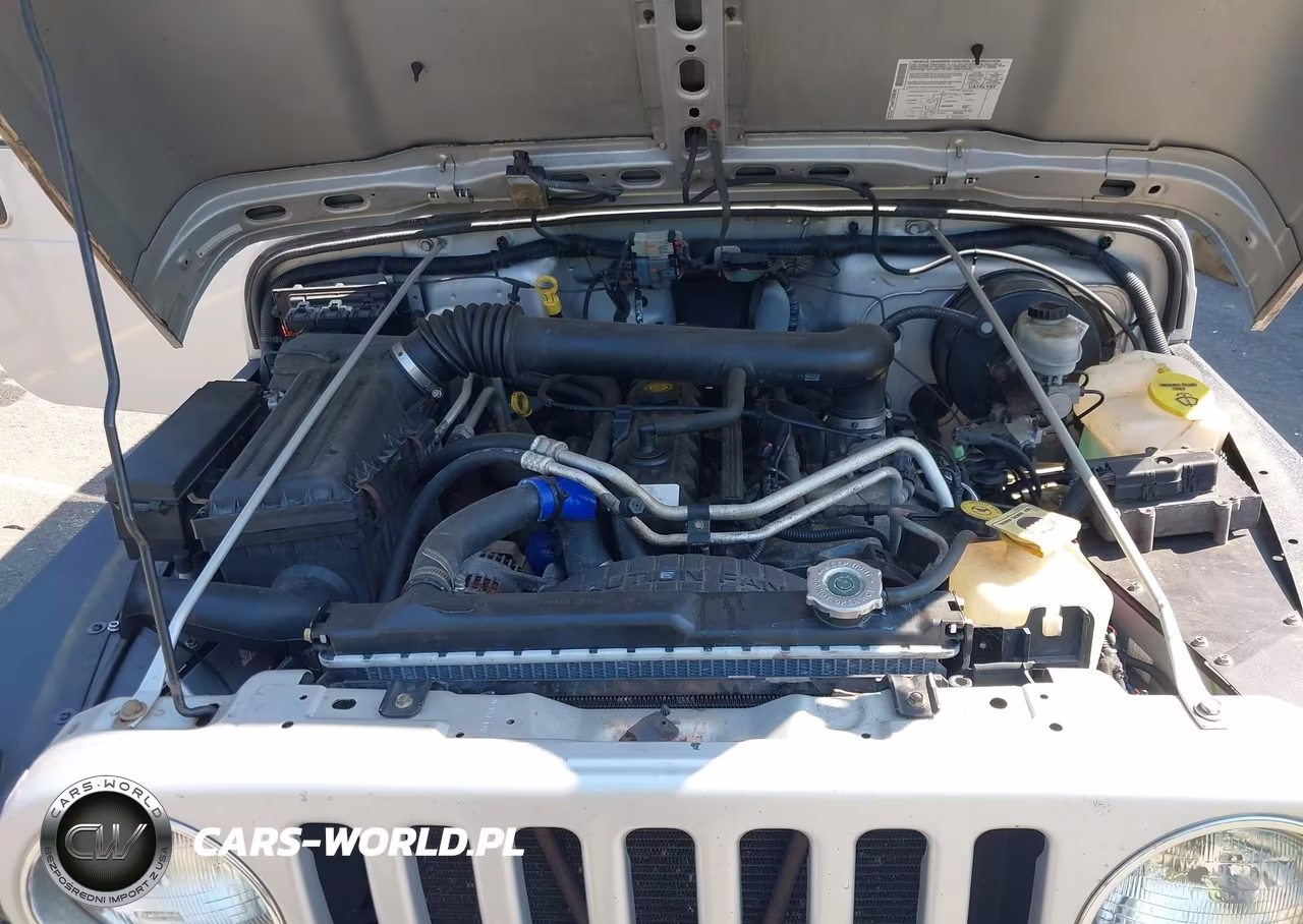 2004 Jeep Wrangler X VIN:1J4FA39S14P790297 - 10