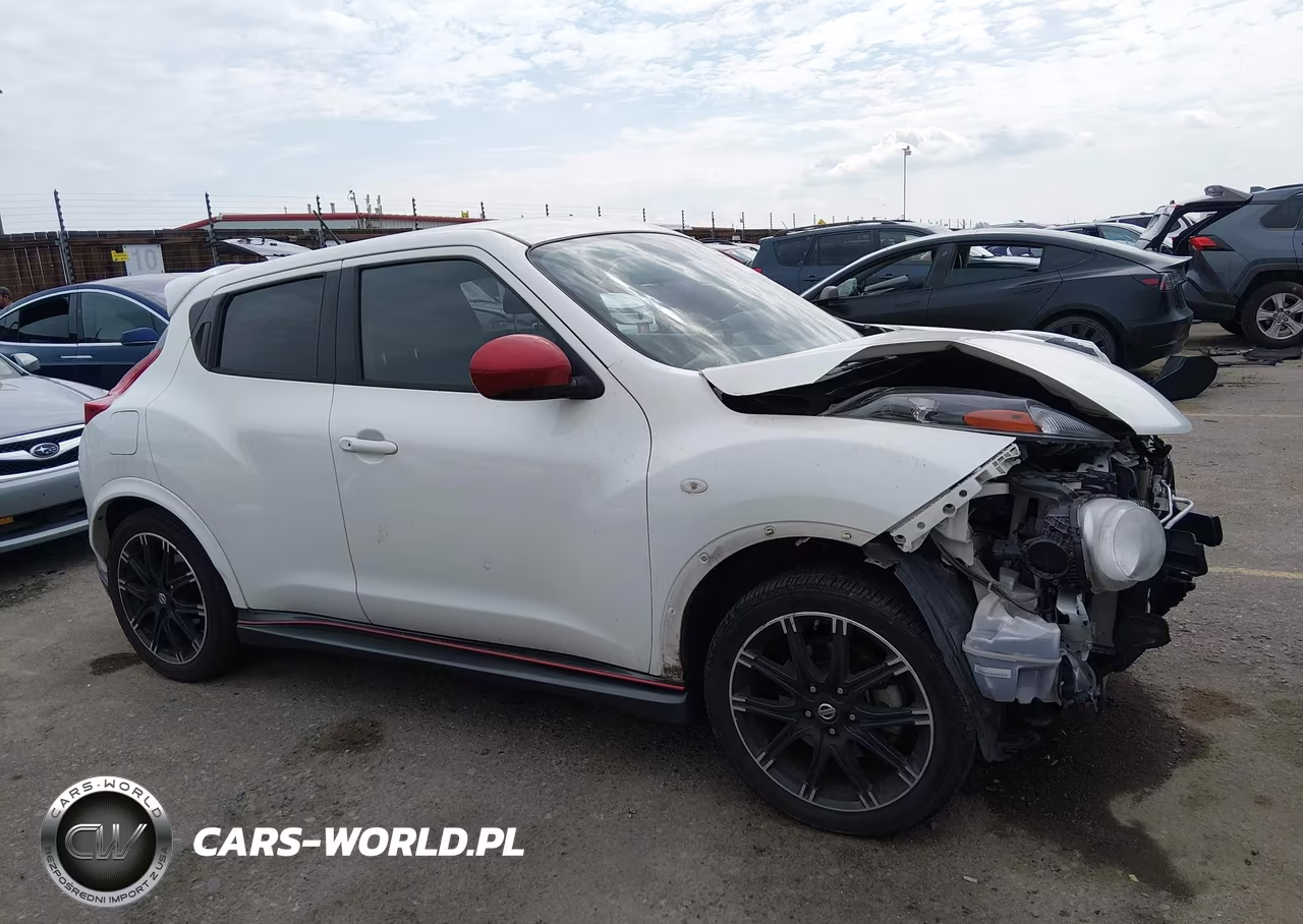 2014 Nissan Juke Nismo VIN:JN8AF5MV8ET365106 - 14