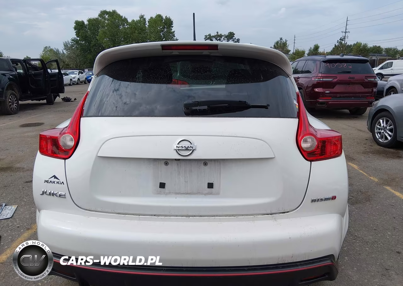 2014 Nissan Juke Nismo VIN:JN8AF5MV8ET365106 - 17
