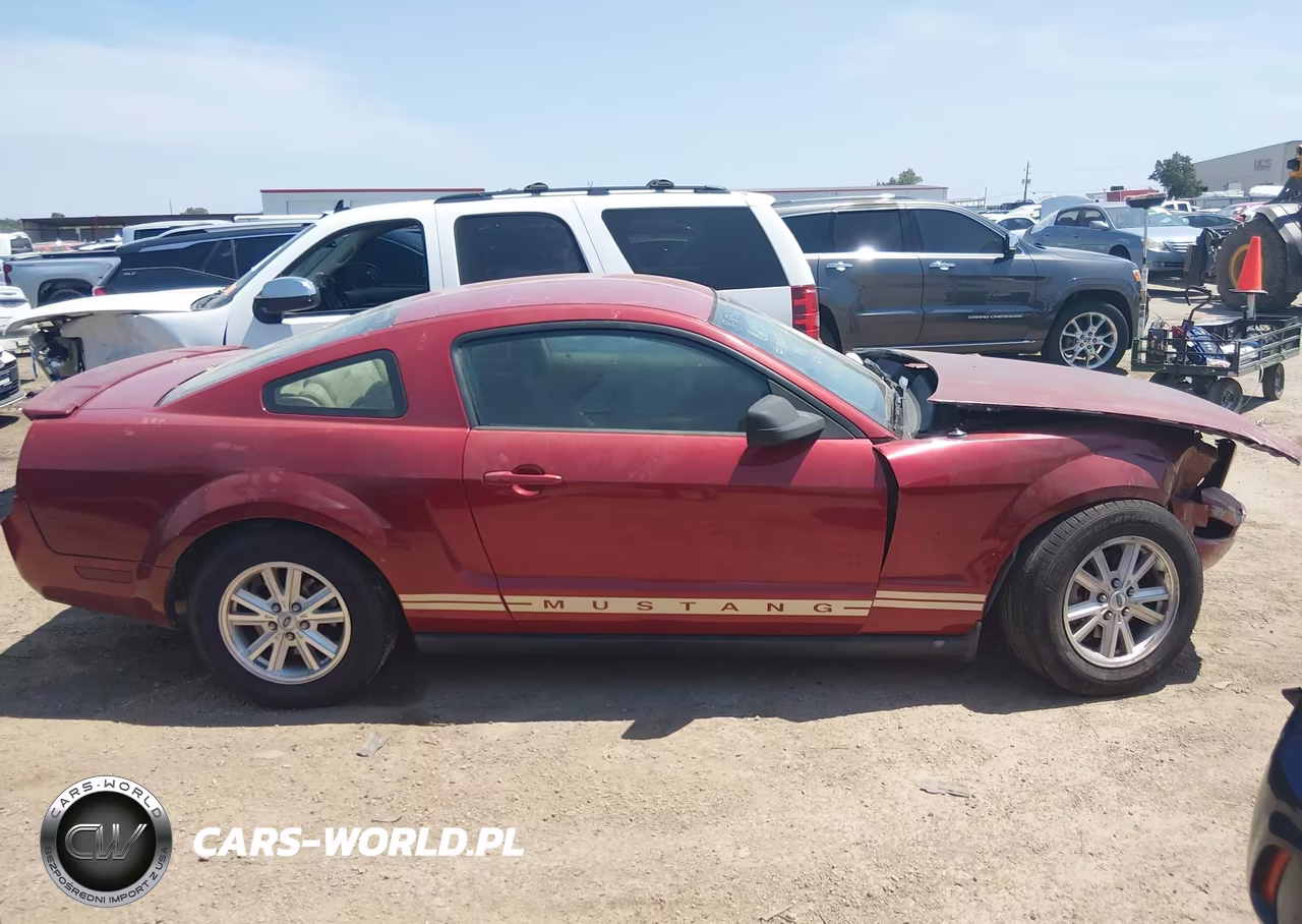 2009 Ford Mustang V6-V6 Premium VIN:1ZVHT80N495106677 - 13