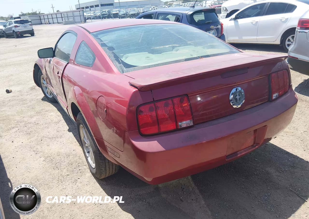 2009 Ford Mustang V6-V6 Premium VIN:1ZVHT80N495106677 - 3