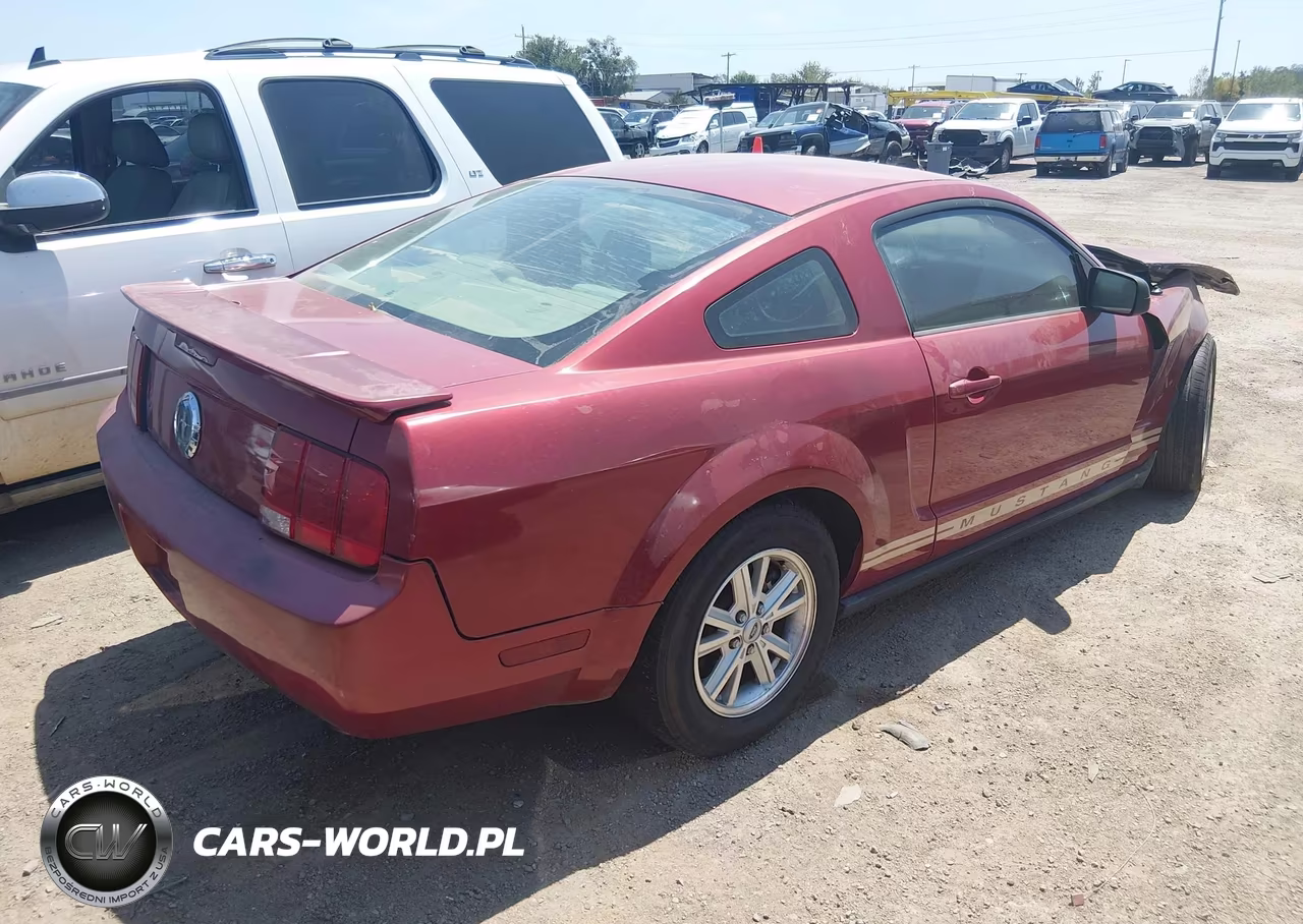 2009 Ford Mustang V6-V6 Premium VIN:1ZVHT80N495106677 - 4