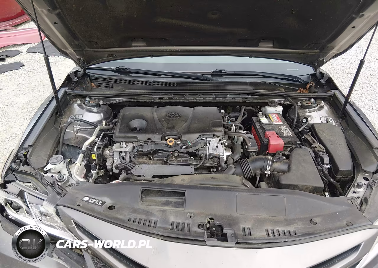 2019 Toyota Camry Se VIN:4T1B11HK1KU255491 - 10