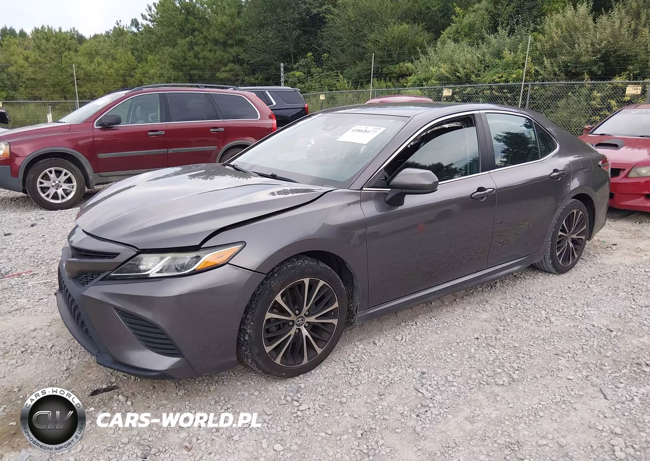 2019 Toyota Camry Se VIN:4T1B11HK1KU255491 - 2