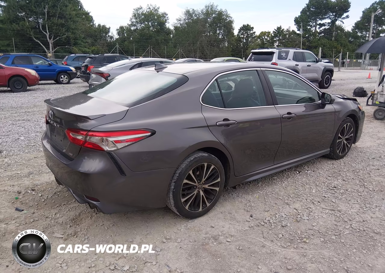 2019 Toyota Camry Se VIN:4T1B11HK1KU255491 - 4