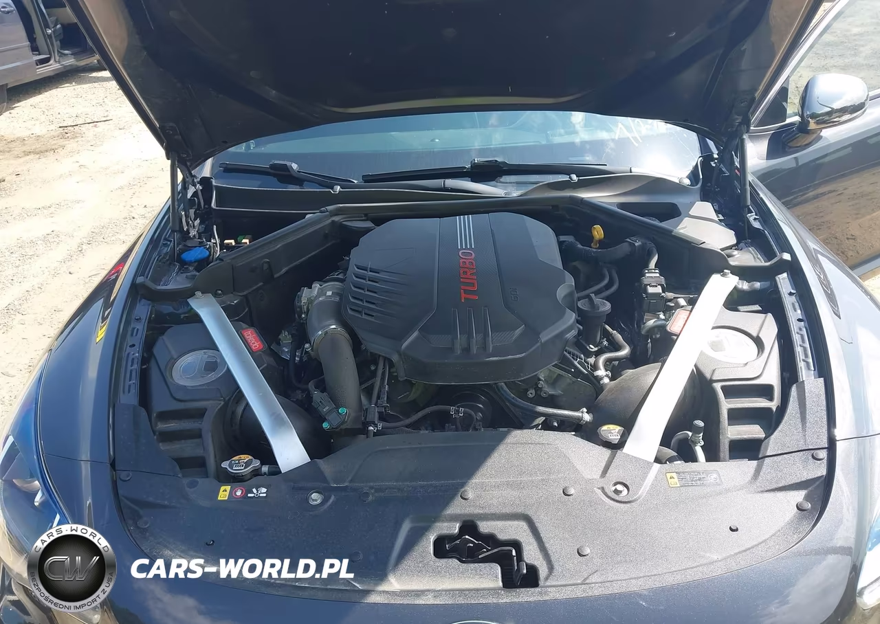 2020 Kia Stinger Gt2 VIN:KNAE55LC2L6077980 - 10