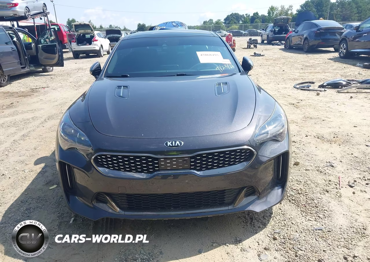 2020 Kia Stinger Gt2 VIN:KNAE55LC2L6077980 - 13