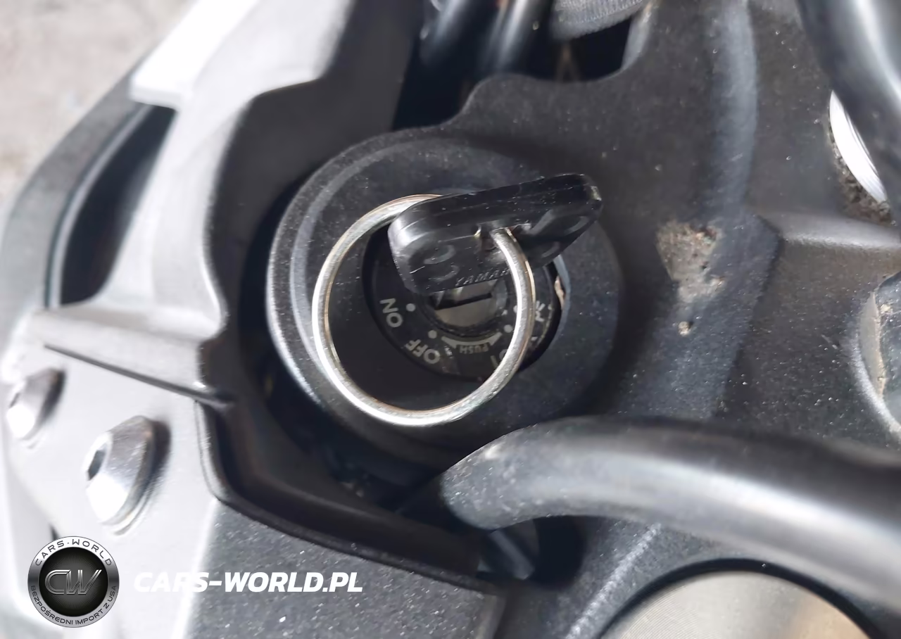 2016 Yamaha Fz09 VIN:JYARN33E2GA008893 - 11