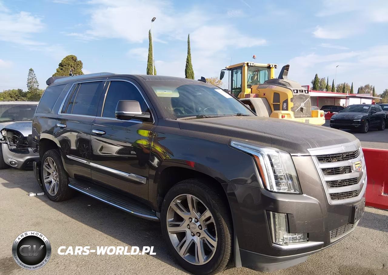 2016 Cadillac Escalade Luxury Collection VIN:1GYS3BKJ8GR327179 - 13
