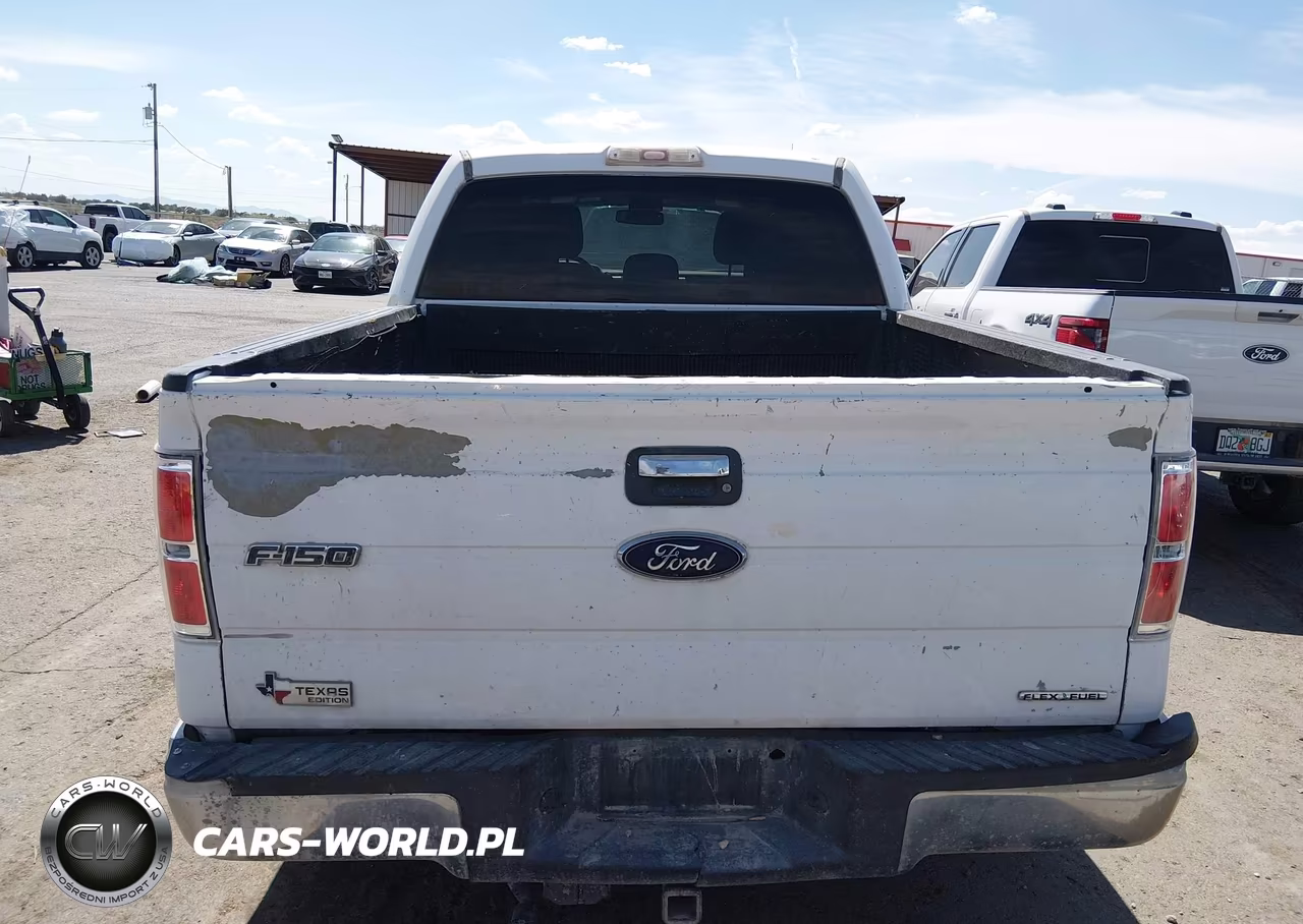2014 Ford F-150 Xlt VIN:1FTFW1CF9EKF53420 - 16