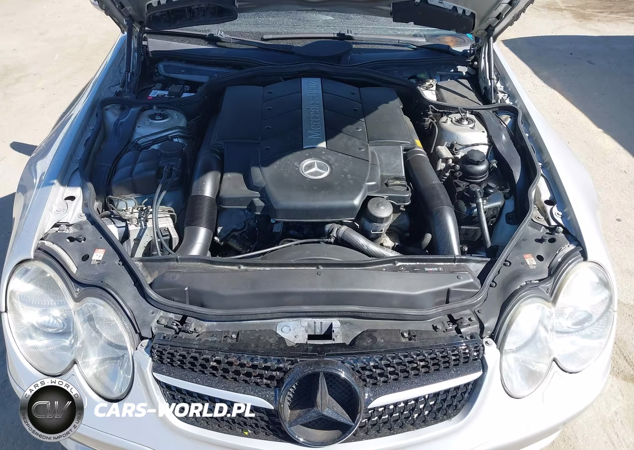 2004 Mercedes-Benz Sl 500 VIN:WDBSK75F54F065002 - 10