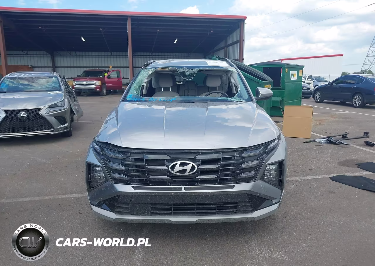 2025 Hyundai Tucson Sel VIN:5NMJB3DEXSH448349 - 11