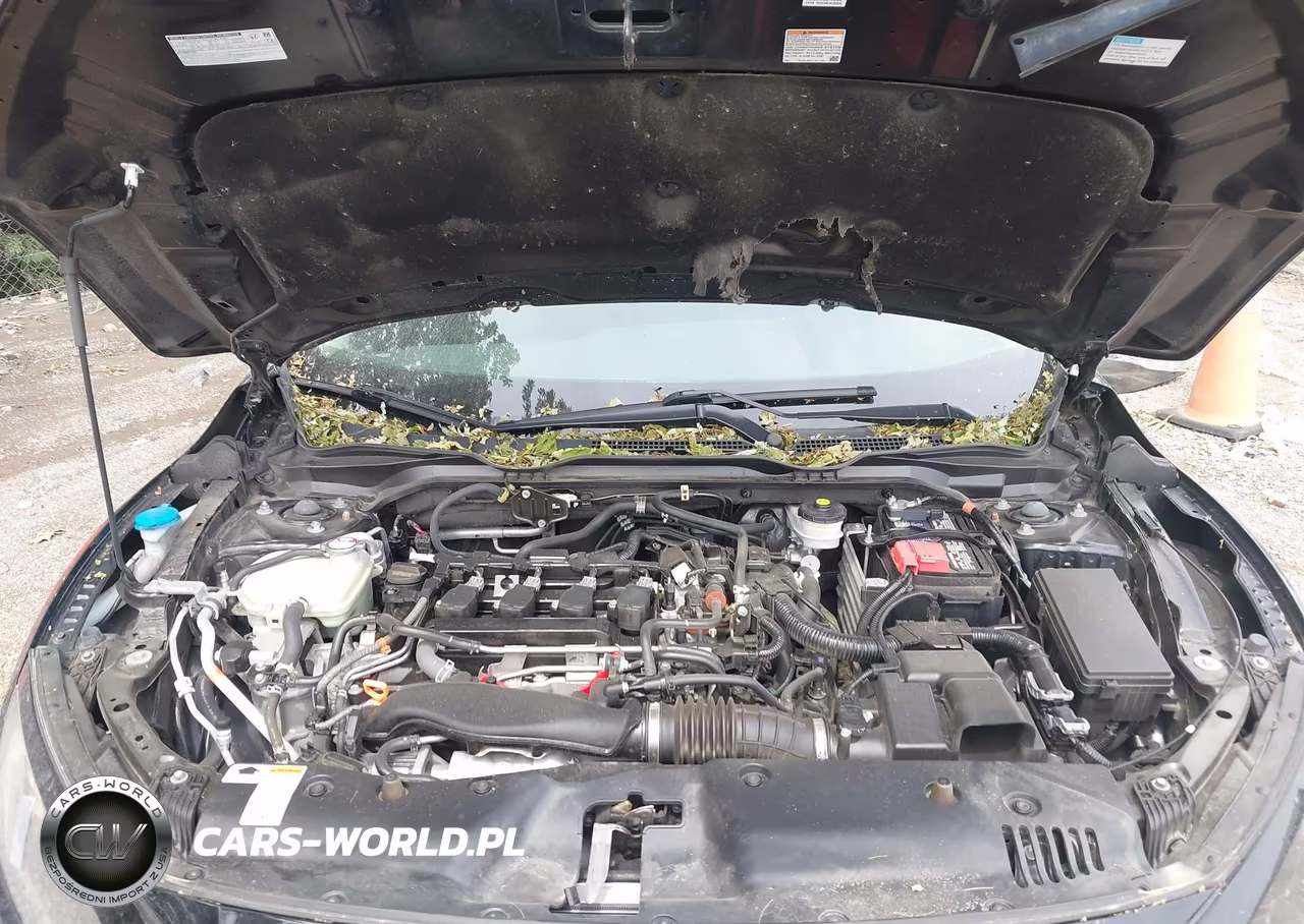 2020 Honda Civic Ex VIN:19XFC1F39LE024799 - 10