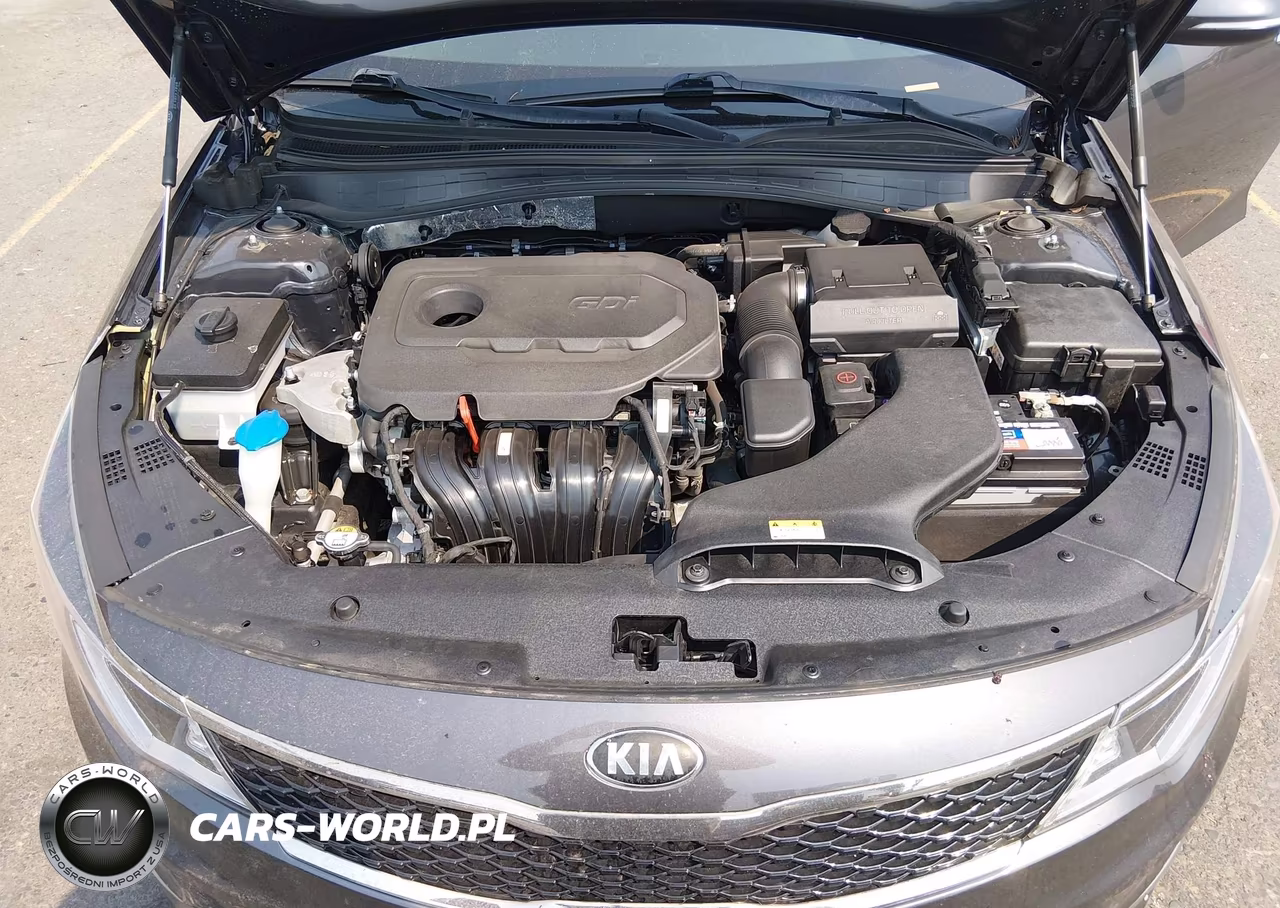 2017 Kia Optima Lx VIN:KNAGT4L32H5174411 - 10