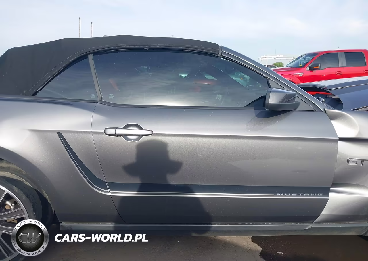 2010 Ford Mustang Gt-Gt Premium VIN:1ZVBP8FH0A5119829 - 14
