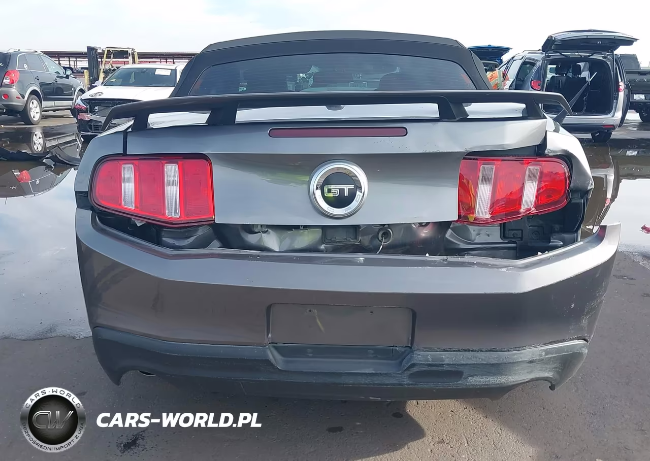 2010 Ford Mustang Gt-Gt Premium VIN:1ZVBP8FH0A5119829 - 17