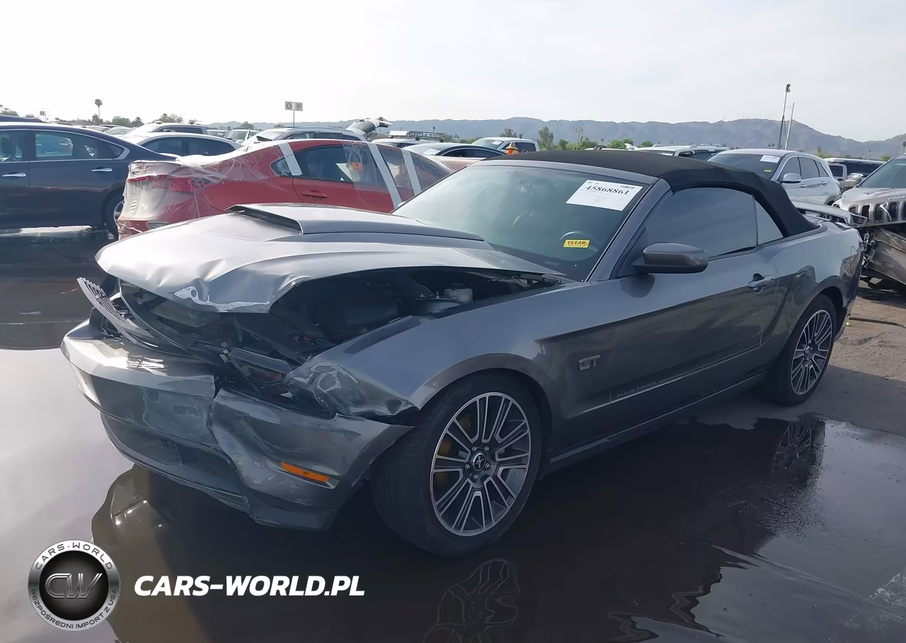 2010 Ford Mustang Gt-Gt Premium VIN:1ZVBP8FH0A5119829 - 2