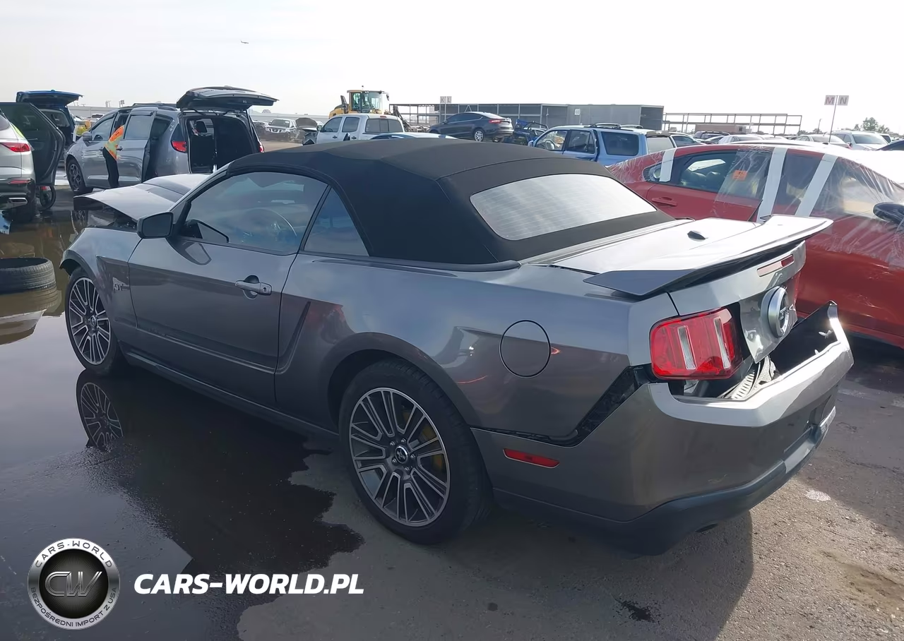 2010 Ford Mustang Gt-Gt Premium VIN:1ZVBP8FH0A5119829 - 3