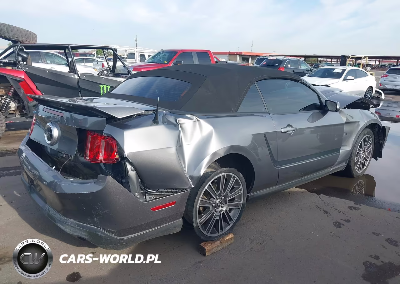 2010 Ford Mustang Gt-Gt Premium VIN:1ZVBP8FH0A5119829 - 4