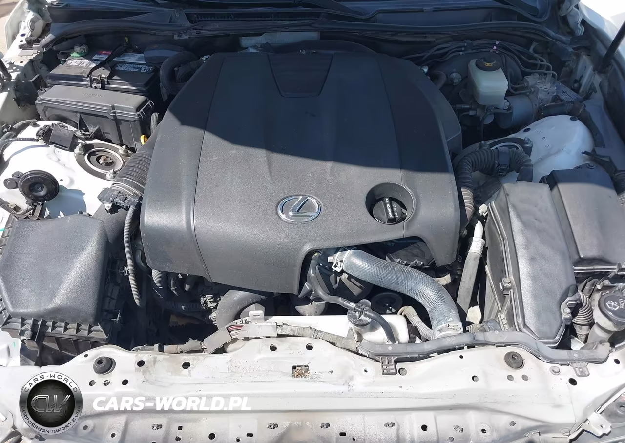 2014 Lexus Is 250 VIN:JTHBF1D23E5035374 - 10