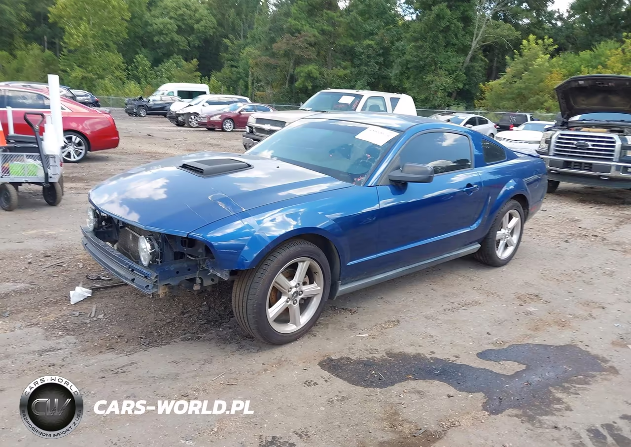 2008 Ford Mustang V6 Deluxe-V6 Premium VIN:1ZVHT80N485206826 - 2