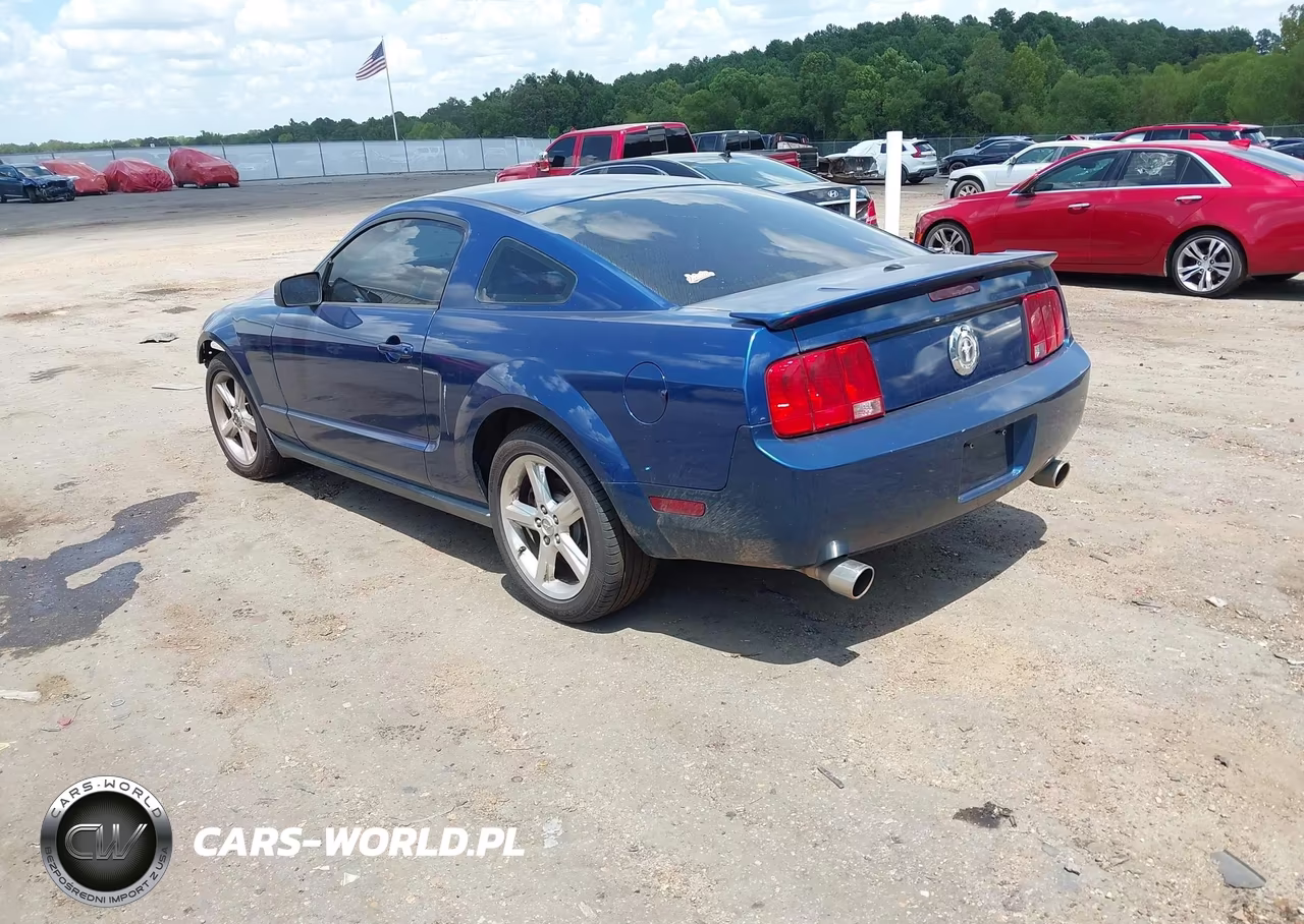 2008 Ford Mustang V6 Deluxe-V6 Premium VIN:1ZVHT80N485206826 - 3