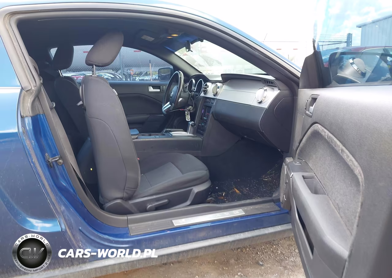 2008 Ford Mustang V6 Deluxe-V6 Premium VIN:1ZVHT80N485206826 - 5