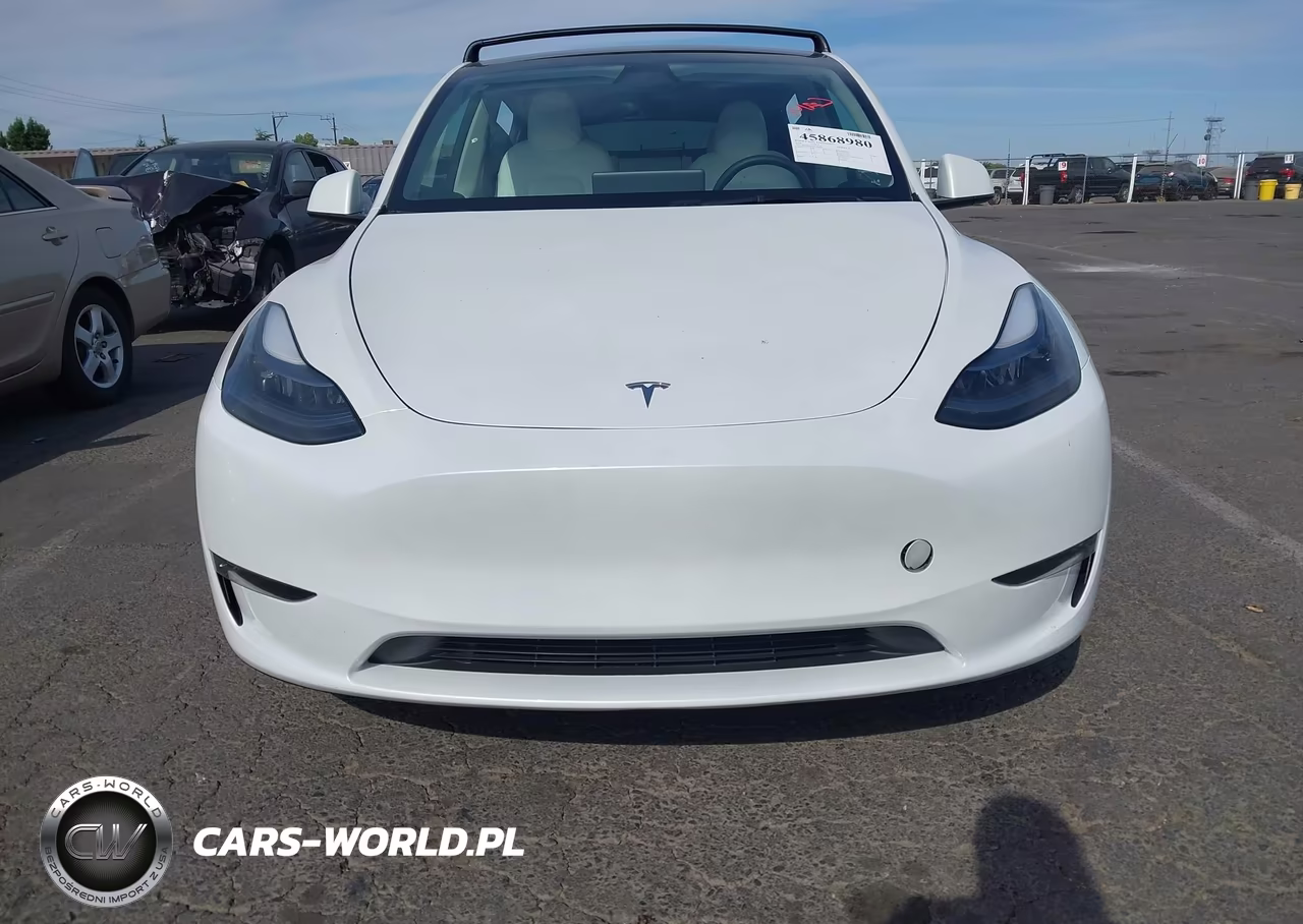 2024 Tesla Model Y Long Range Dual Motor All-Wheel Drive VIN:7SAYGAEE7RF189871 - 12