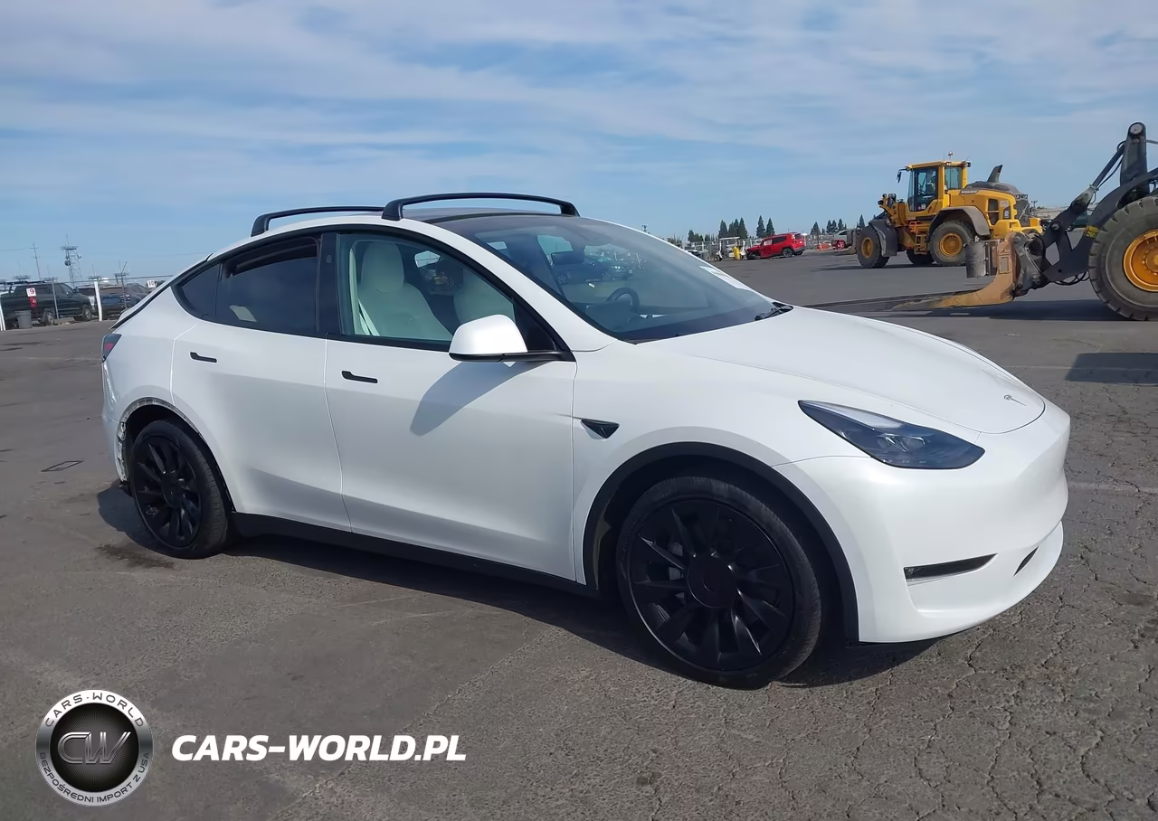 2024 Tesla Model Y Long Range Dual Motor All-Wheel Drive VIN:7SAYGAEE7RF189871 - 13