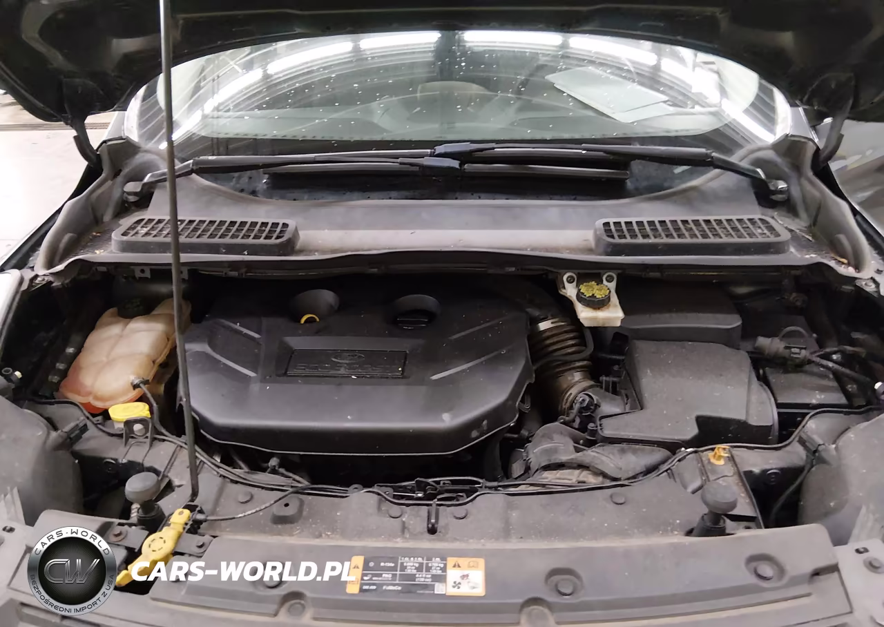 2016 FORD ESCAPE SE VIN:1FMCU0G99GUB59801 - 10