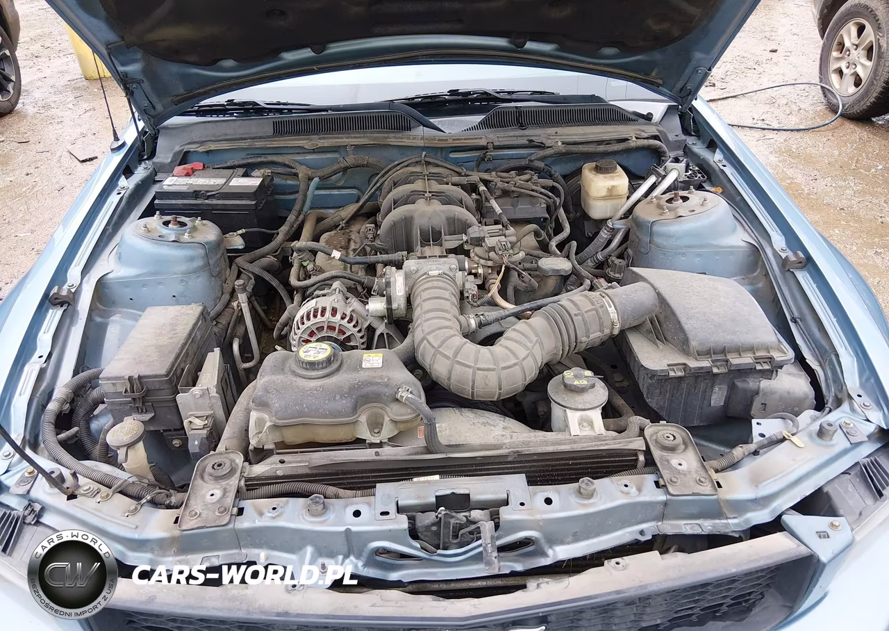 2007 Ford Mustang V6 Deluxe-V6 Premium VIN:1ZVFT80N075369141 - 10
