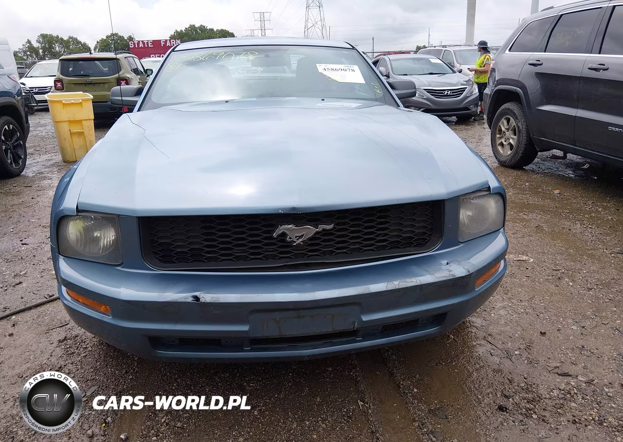 2007 Ford Mustang V6 Deluxe-V6 Premium VIN:1ZVFT80N075369141 - 12