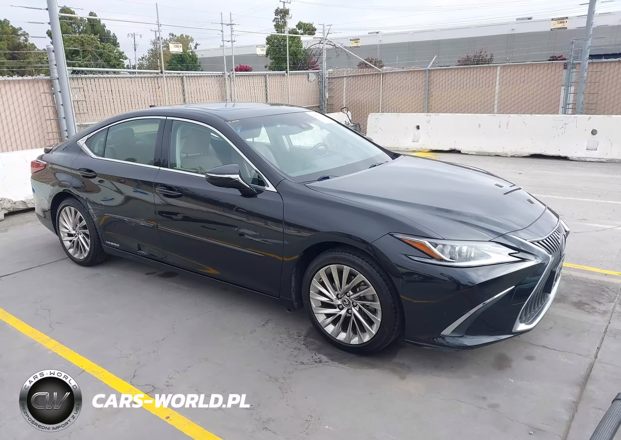 2019 Lexus Es 300H Luxury