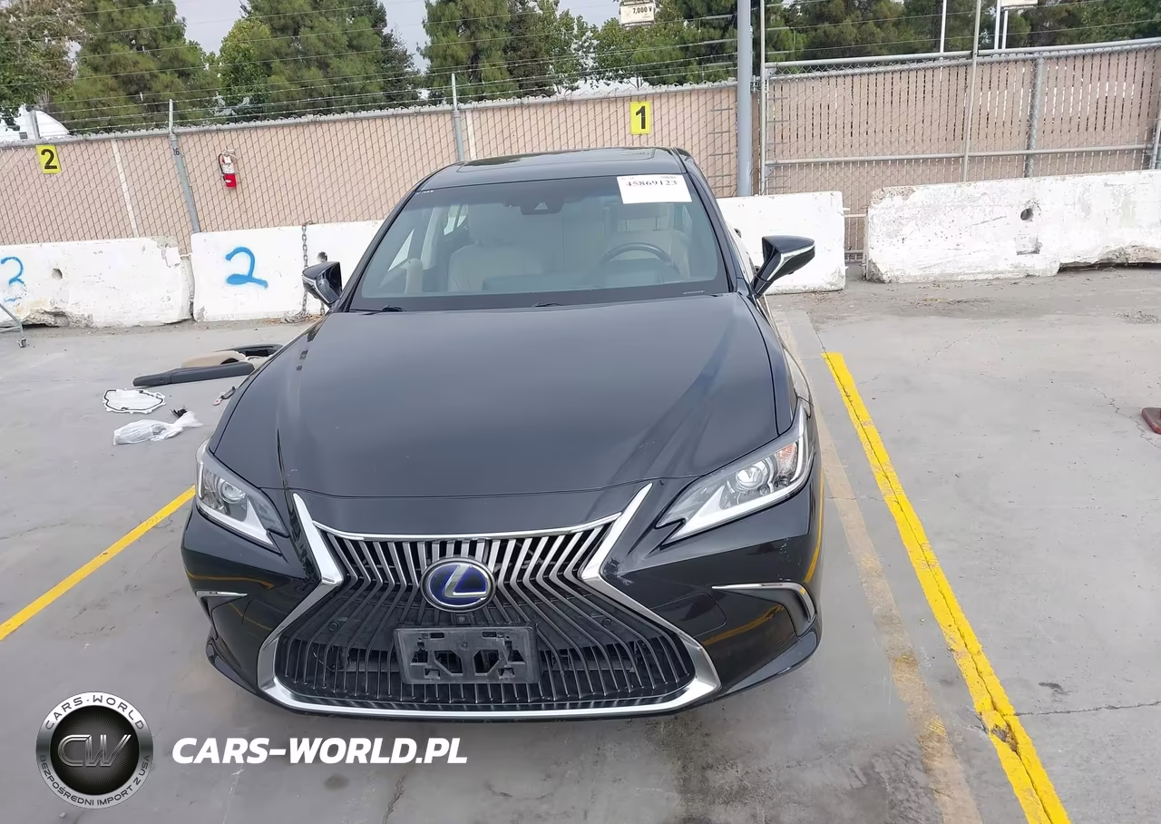 2019 Lexus Es 300H Luxury VIN:JTHB21B15K2023777 - 13