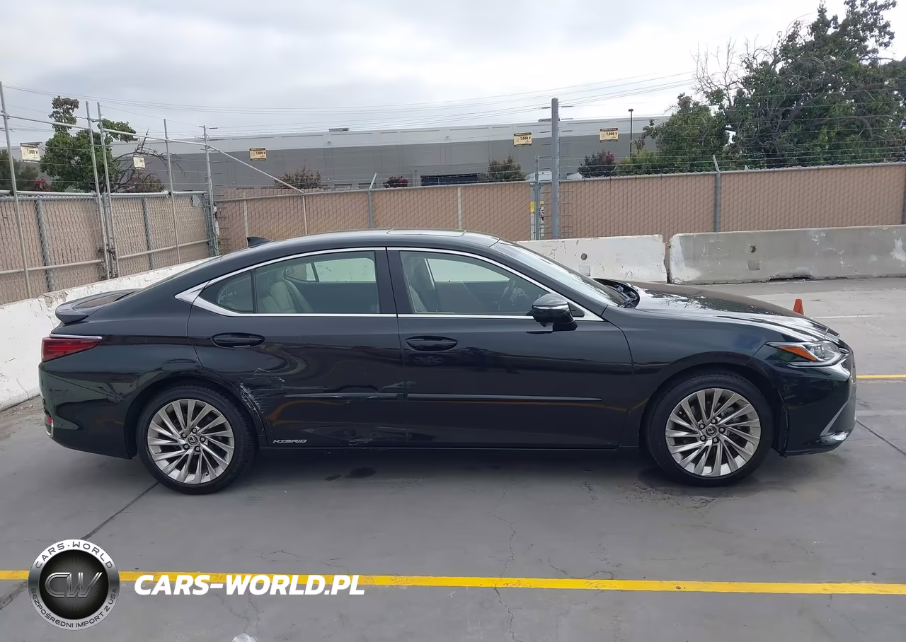 2019 Lexus Es 300H Luxury VIN:JTHB21B15K2023777 - 14