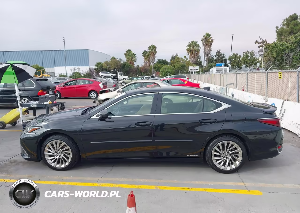 2019 Lexus Es 300H Luxury VIN:JTHB21B15K2023777 - 15