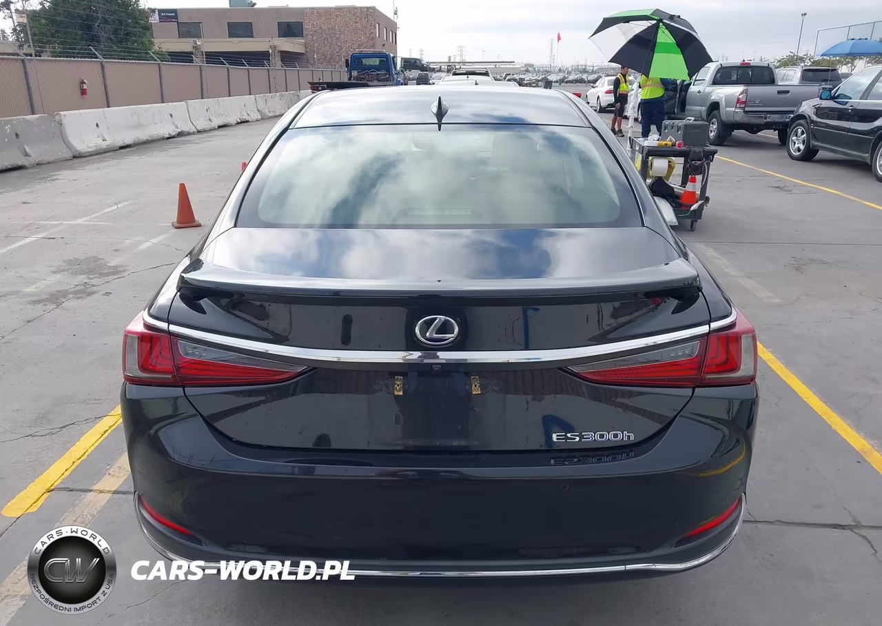 2019 Lexus Es 300H Luxury VIN:JTHB21B15K2023777 - 17