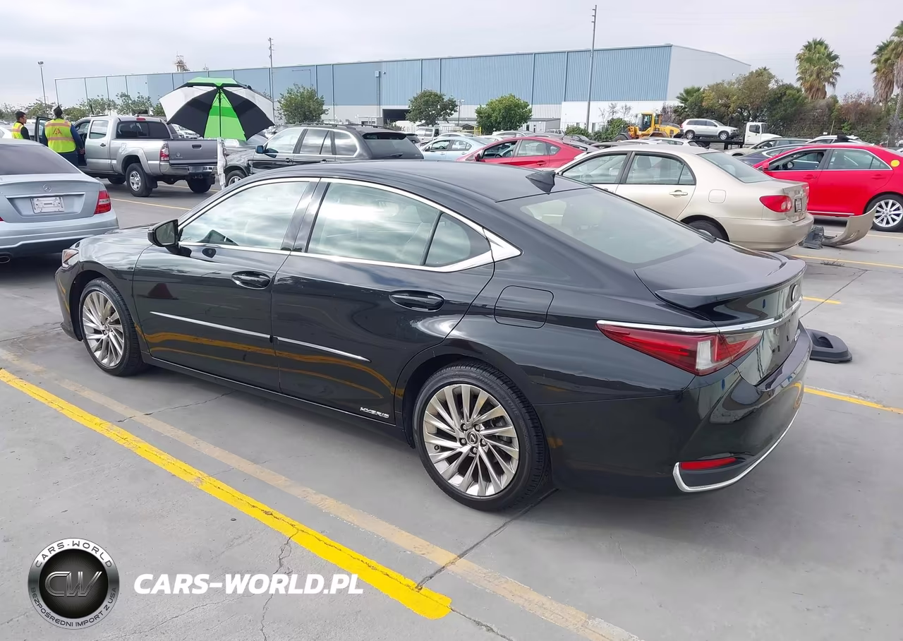 2019 Lexus Es 300H Luxury VIN:JTHB21B15K2023777 - 3