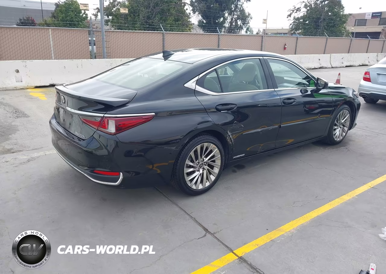 2019 Lexus Es 300H Luxury VIN:JTHB21B15K2023777 - 4